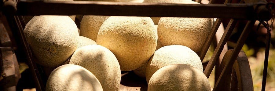 Índice glucémico y carga glucémica